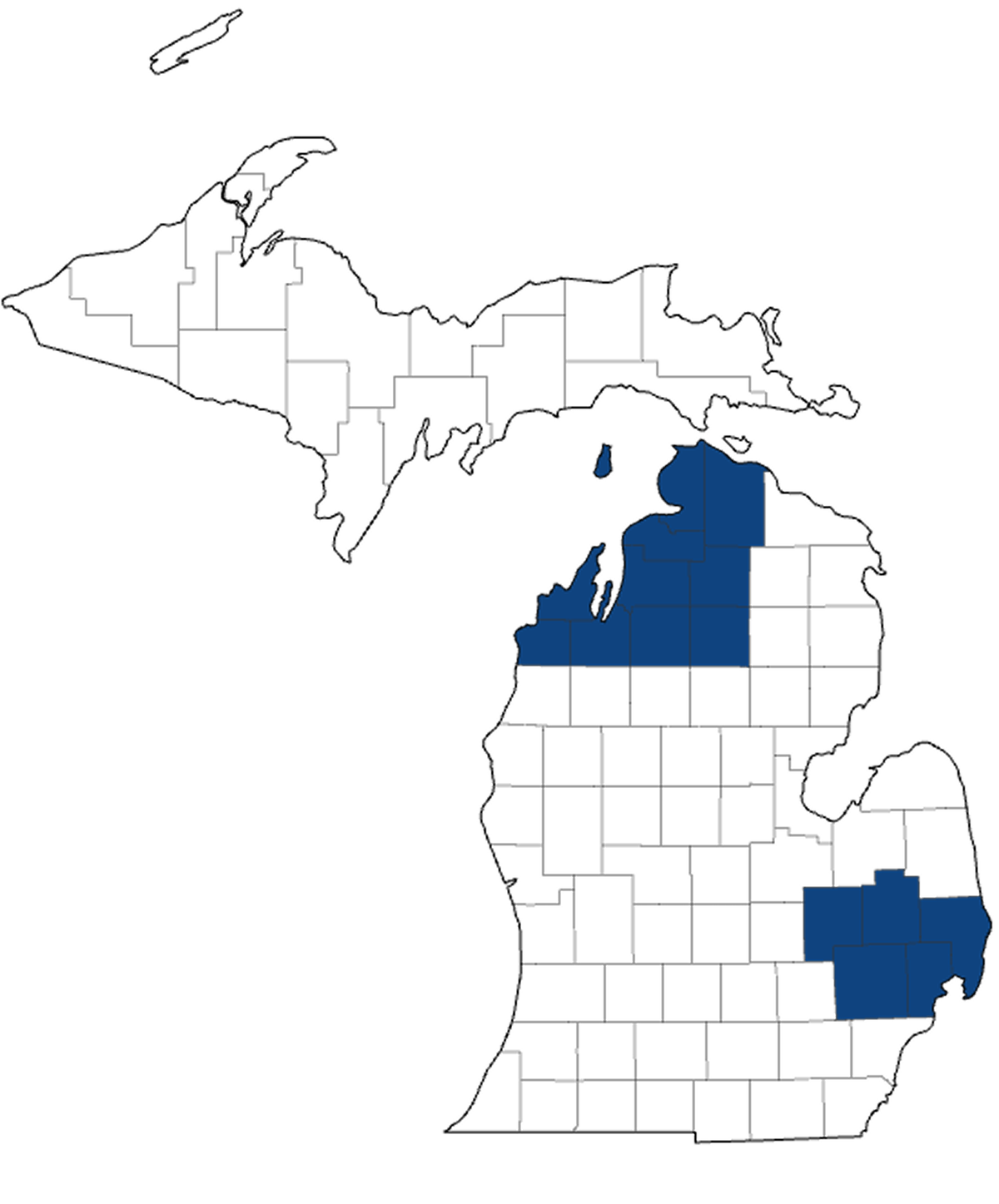 Michigan Map-BWMT