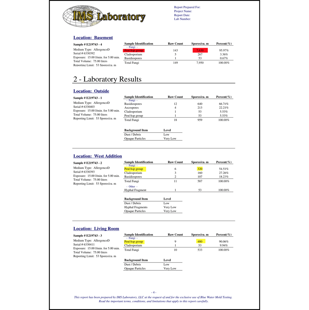 Mold Report - Lab Results